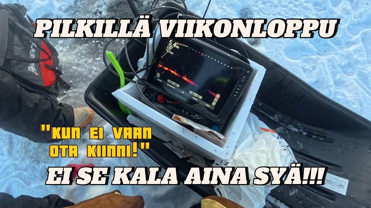 Kalat tosi huonolla purulla! Vknlp pilkillä!