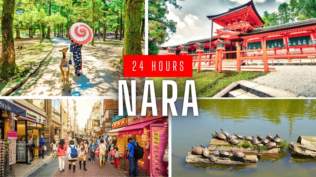 24 Hours In Nara (Nara One Day Trip Itinerary)