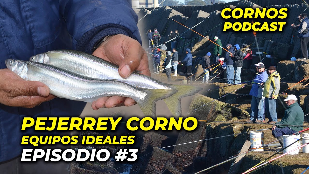 Pejerrey Corno - EQUIPOS IDEALES - Podcast Episodio 3