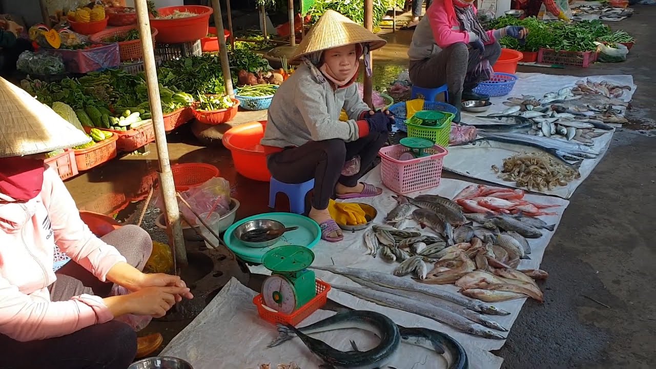 Chợ Bình Châu, Bà Rịa Vũng Tàu - Xem  tàu cá vô bà con mua bán tấp nập
