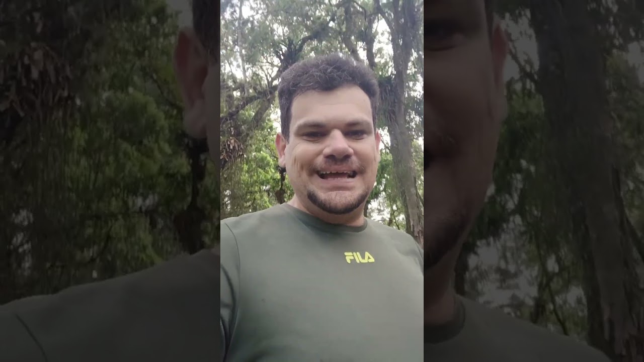 Caso Cão Orelha: Adolescentes São Religiosos Católicos E A Culpa É Dos Jogos Eletrônicos