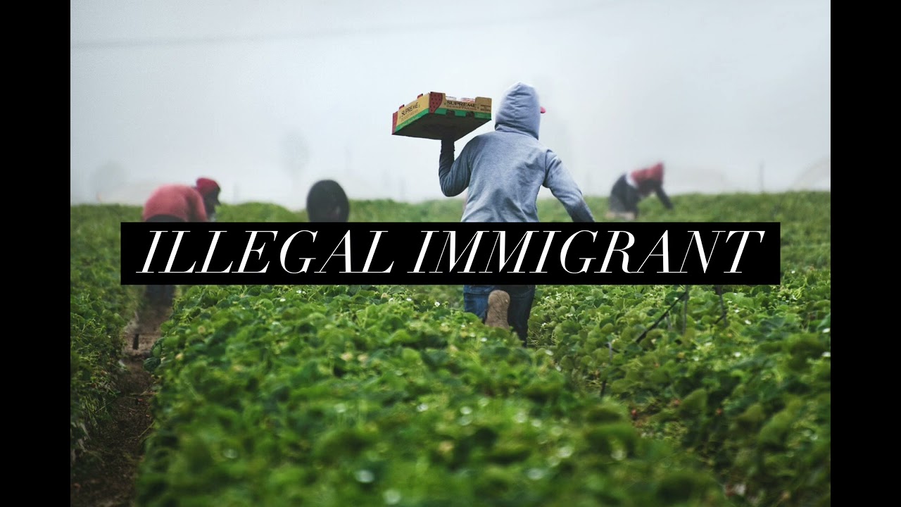 Dave Blunts - Illegal Immigrant (2023) | FULL ALBUM CDQ #unreleased #rare #daveblunts