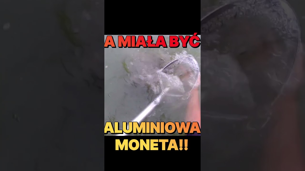 A miała być aluminiowa moneta...#detector #metaldetecting