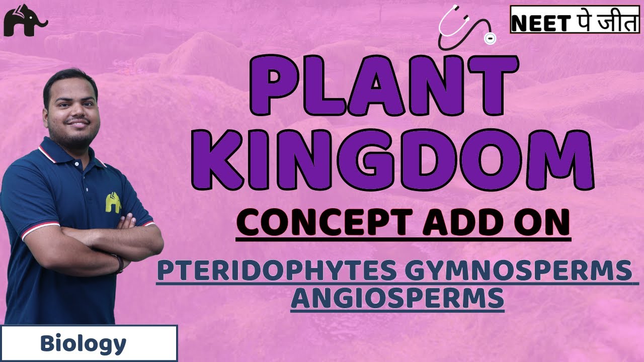 Plant Kingdom Class 11 Biology NEET | Pteridophytes Gymnosperms Angiosperms