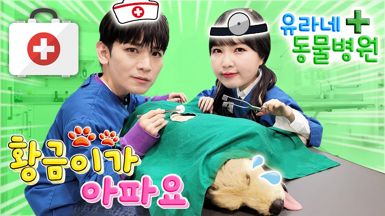 유라 수의사와 토니 간호사의 병원놀이! 키자니아 동물병원 의사놀이 &nbsp;[Yura]