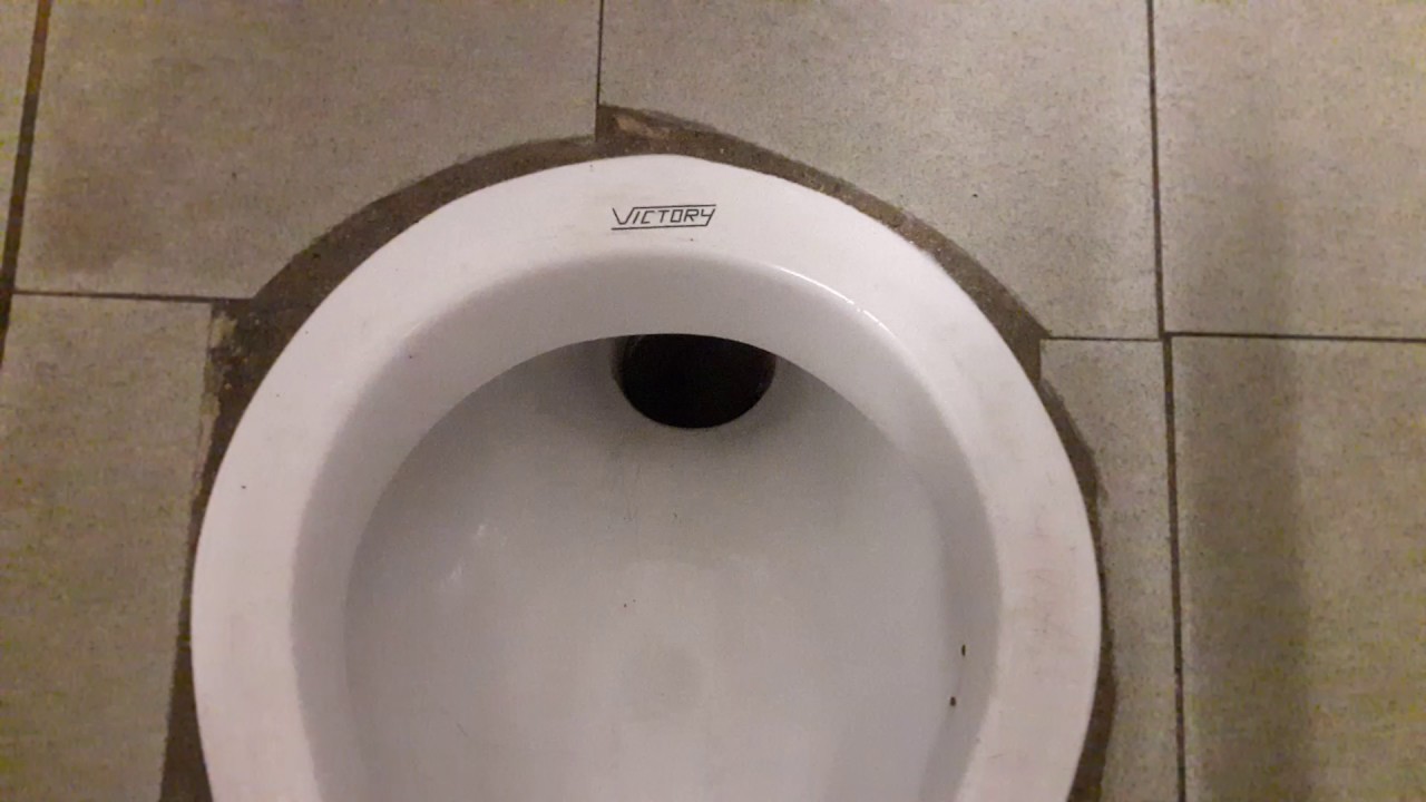 藍田興田熱食亭公廁The 90's Victory Squat toilet at Hot Food Pavilion in Hing Tin Estate, Lam Tin, Kowloon, HK