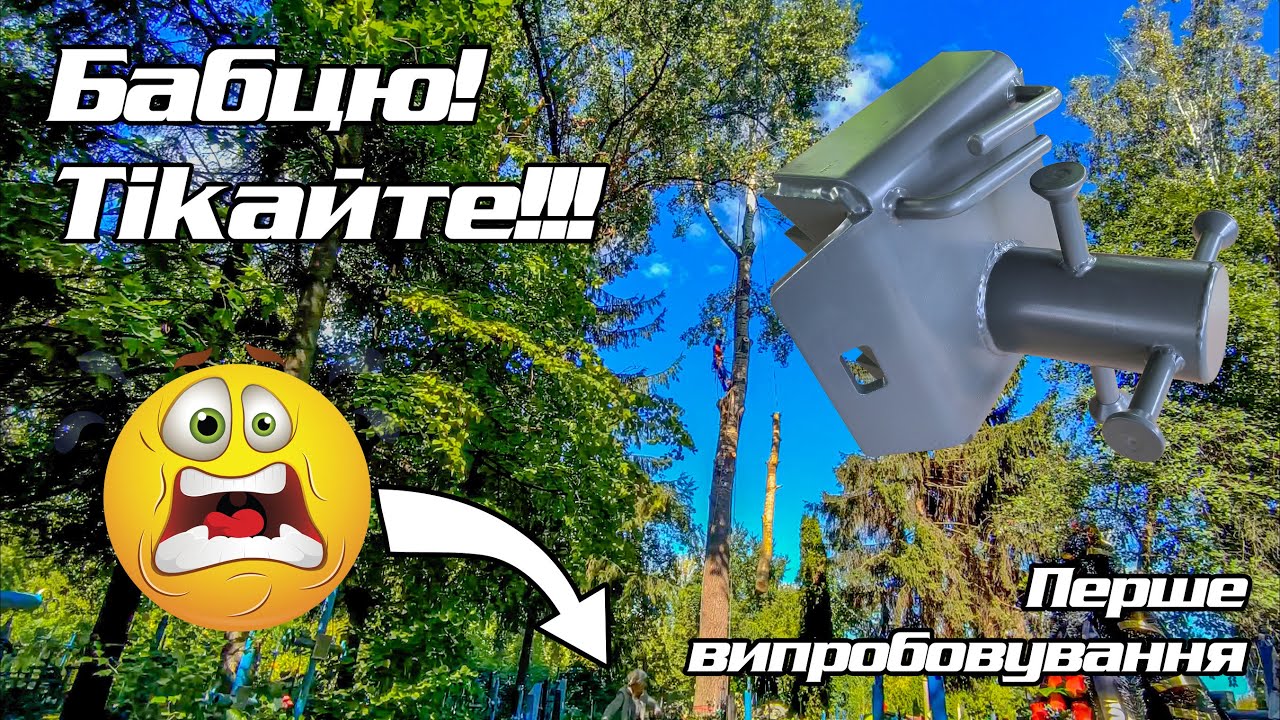 Ріжемо сріблясту тополю на цвинтарі
