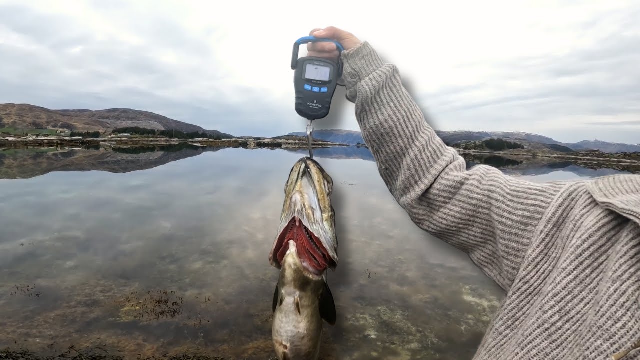 In The Moment [Ep. 1] Spearfishing Norway