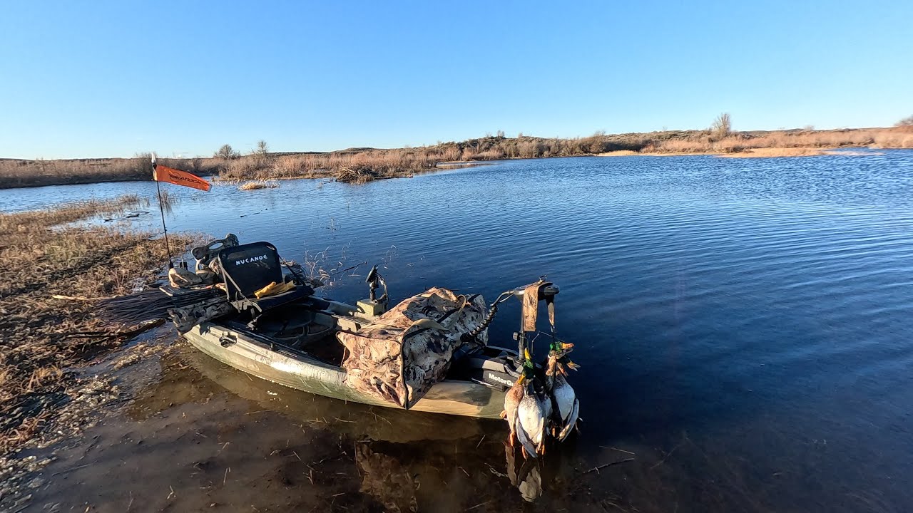 Washington state duck hunt: Mixed limit with my dog Kona.