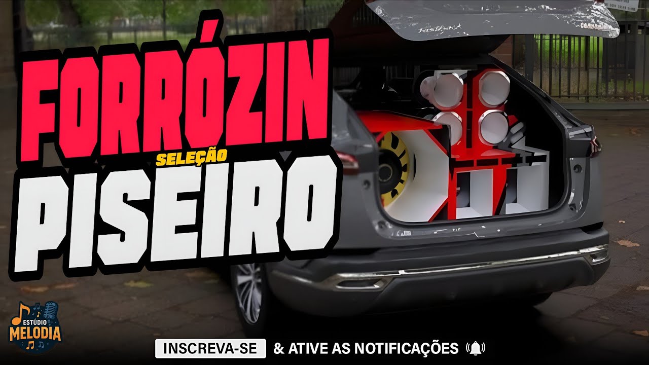 SELEÇÃO FORRÓZIN E PISEIRO 2026 - SELEÇÃO TOP PRA PAREDÃO - MAIS TOCADAS 2026 - MÚSICAS NOVAS 
