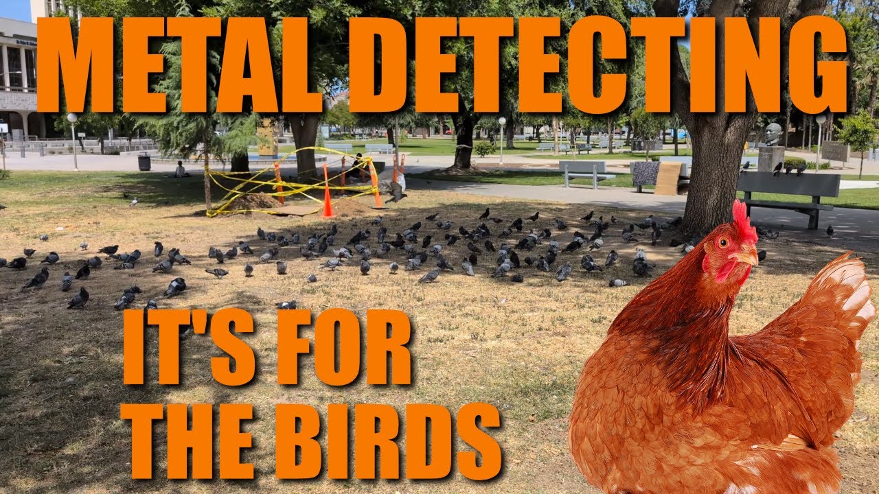 Metal Detecting: Birds, Squirrels, Finds, Sarcasm!