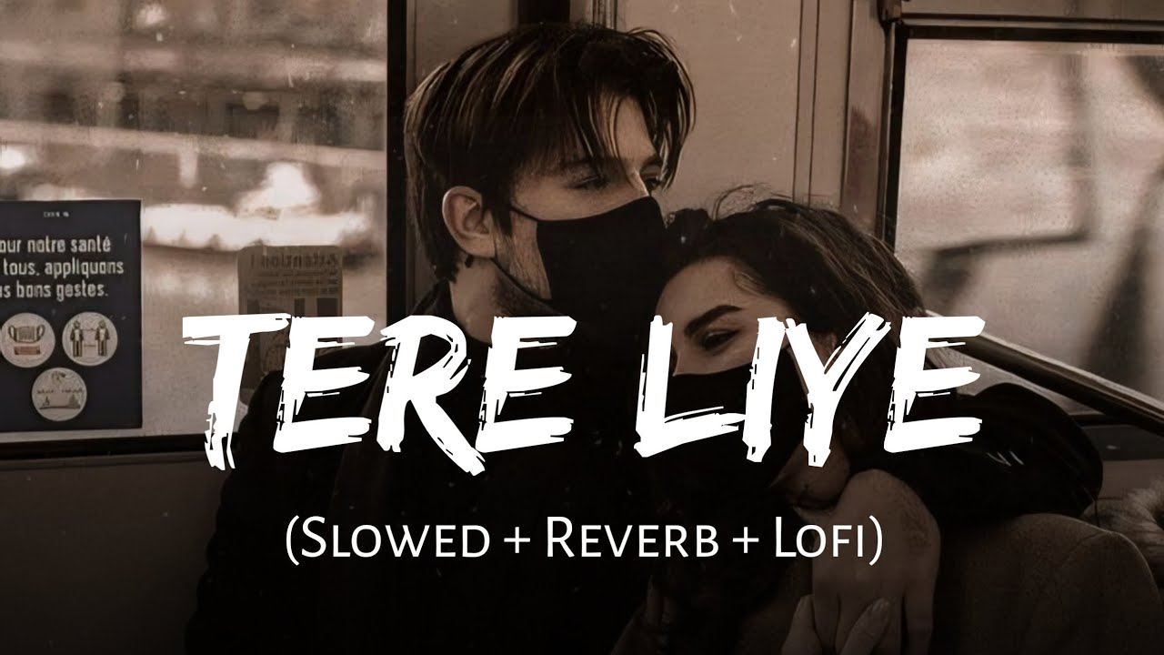 Tere Liye (Slowed + Reverb) | Atif Aslam, Shreya Ghoshal | Prince | Lofi Mix | SSR Lofi