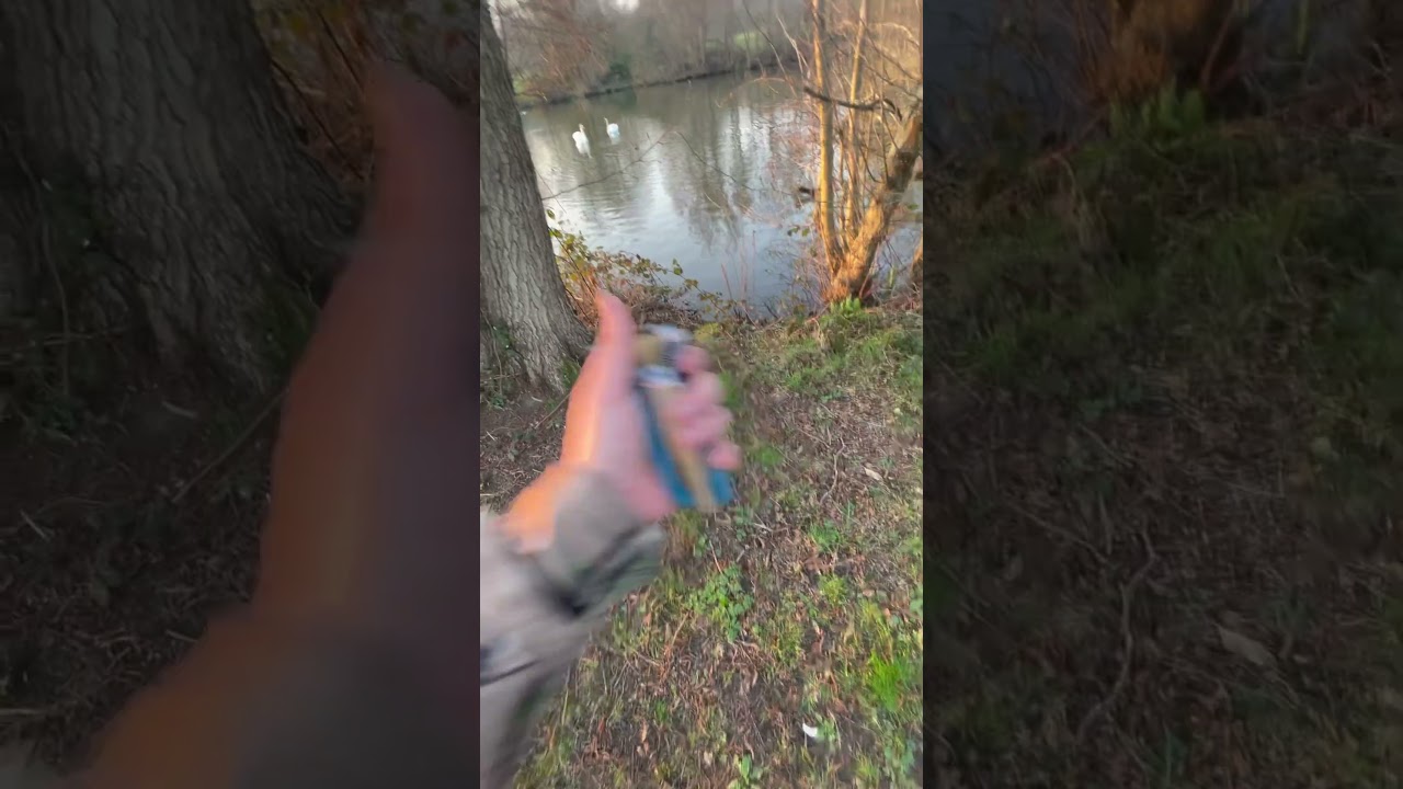 Gypsy catapult shooting👌headshots only👍🏻 #catapults #travellers #gypsy #slingshot #shorts