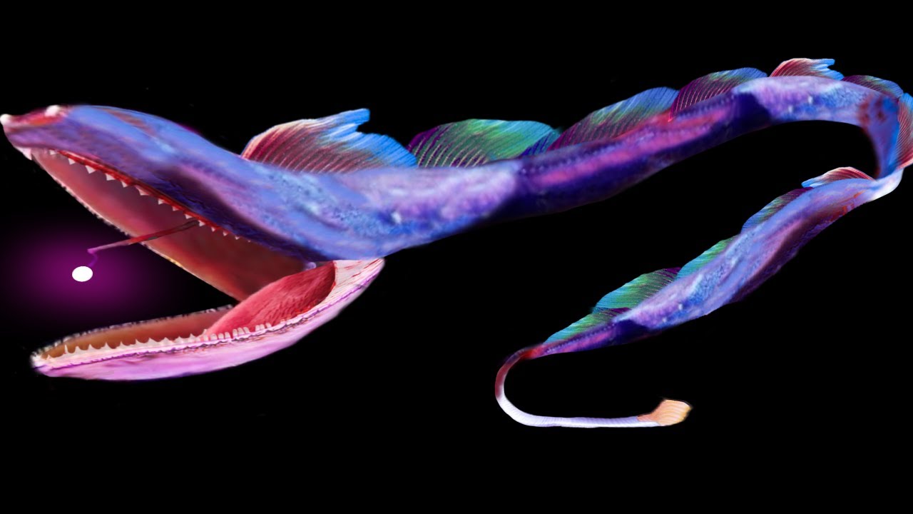 Top 10 SCARIEST Sea Monsters CAUGHT ON CAMERA!