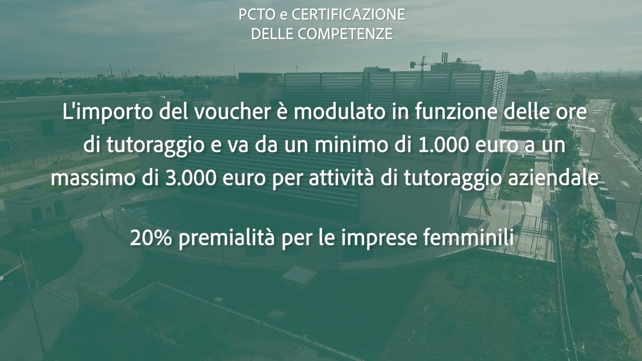 Bando PCTO e certificazione delle competenze 2025