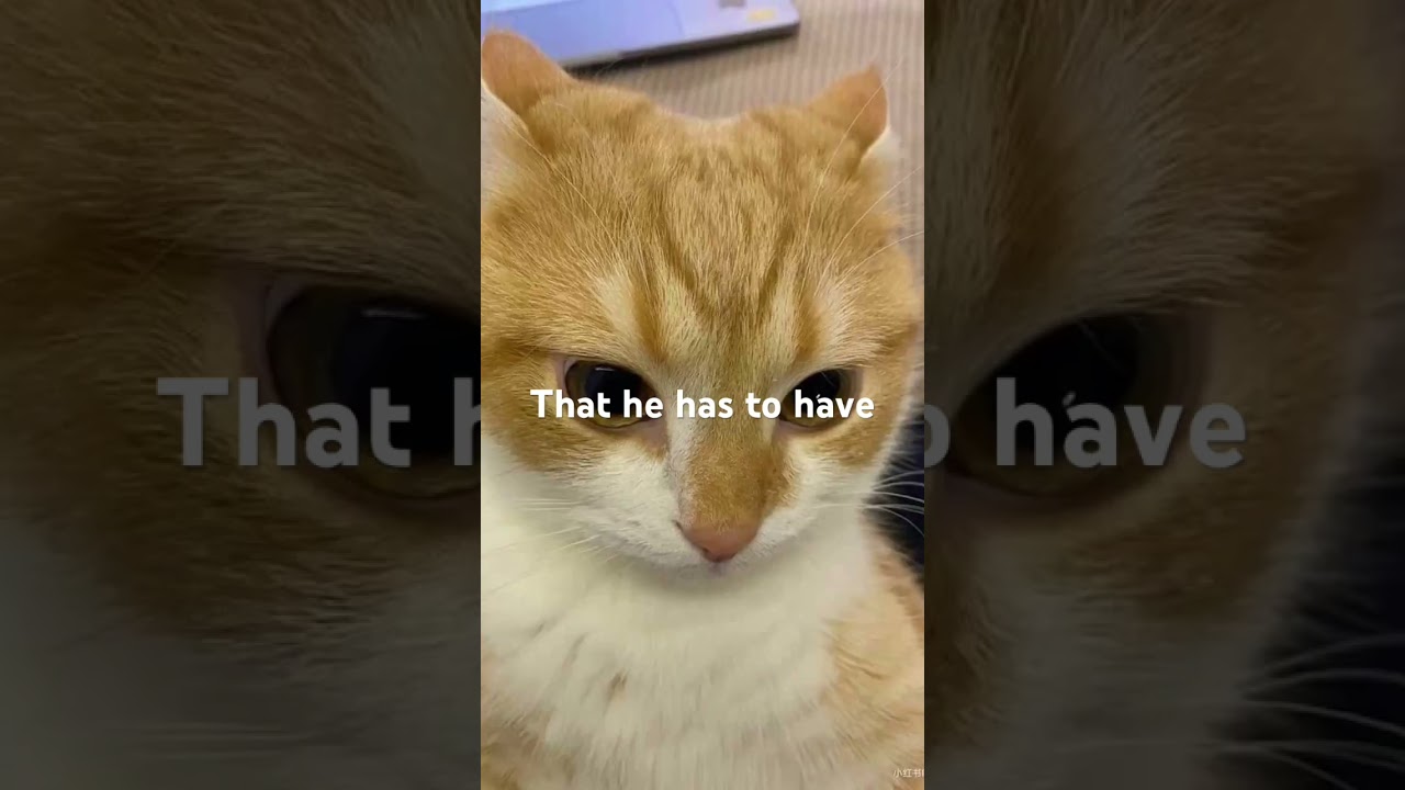 Let me know in the comments 🤭 