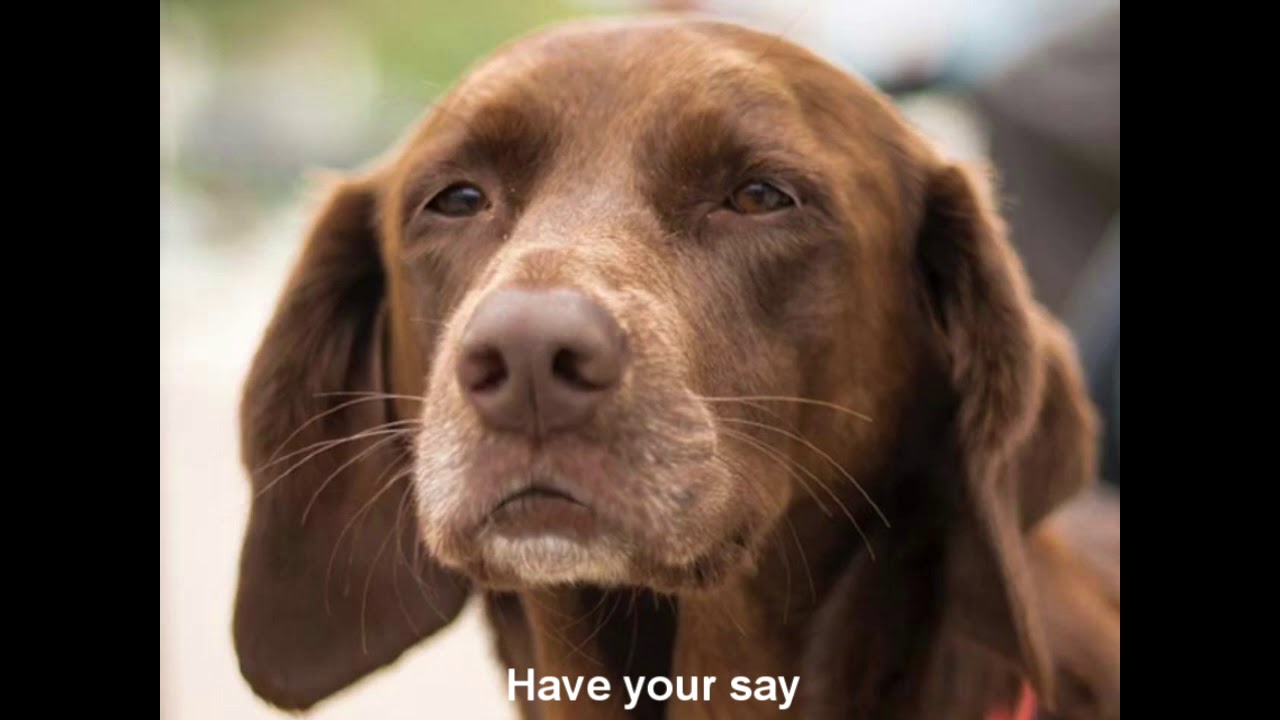 Council Tax Reduction Scheme West Devon