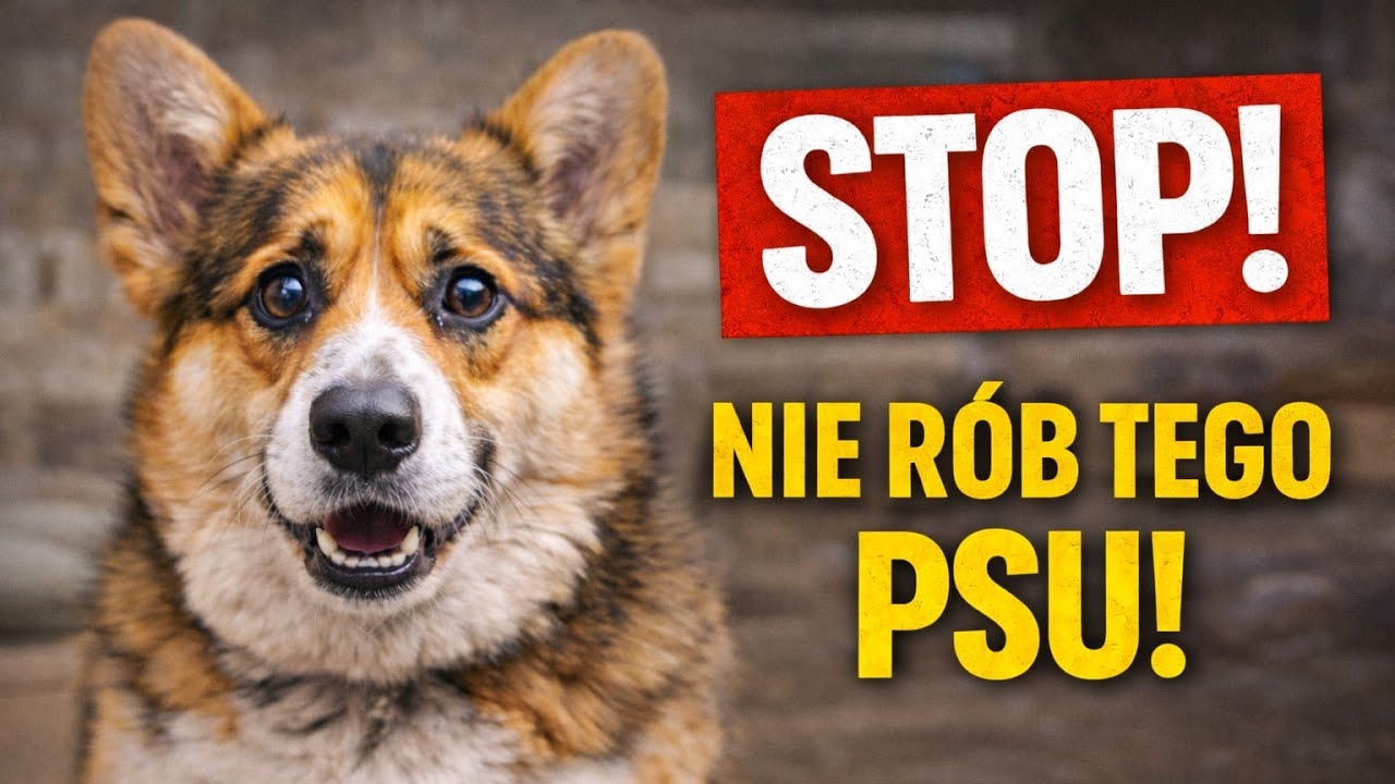 NIE RÓB TEGO PSU! 15 błędów, które niszczą zaufanie (i relację)