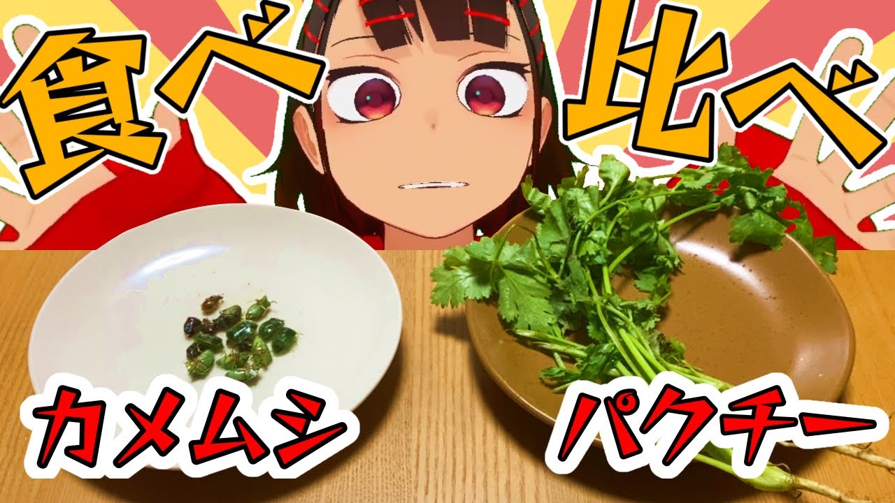【似てる？】カメムシとパクチー食べ比べてみた！【似てない？】