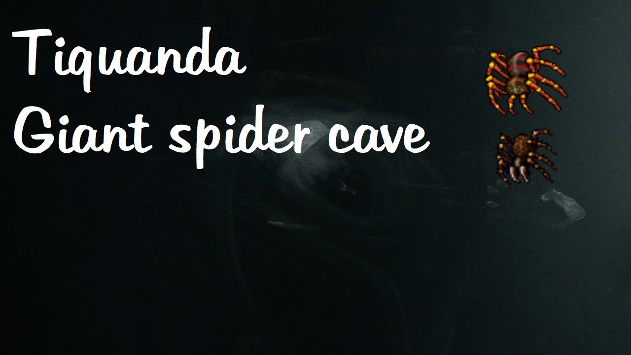 Tibia Spotlight - Tiquanda Giant spider cave