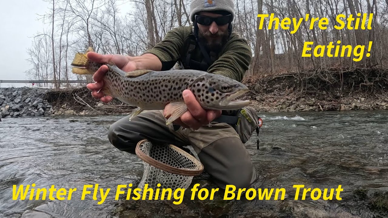 Winter Fly Fishing for Brown Trout | They’re Still Eating!
