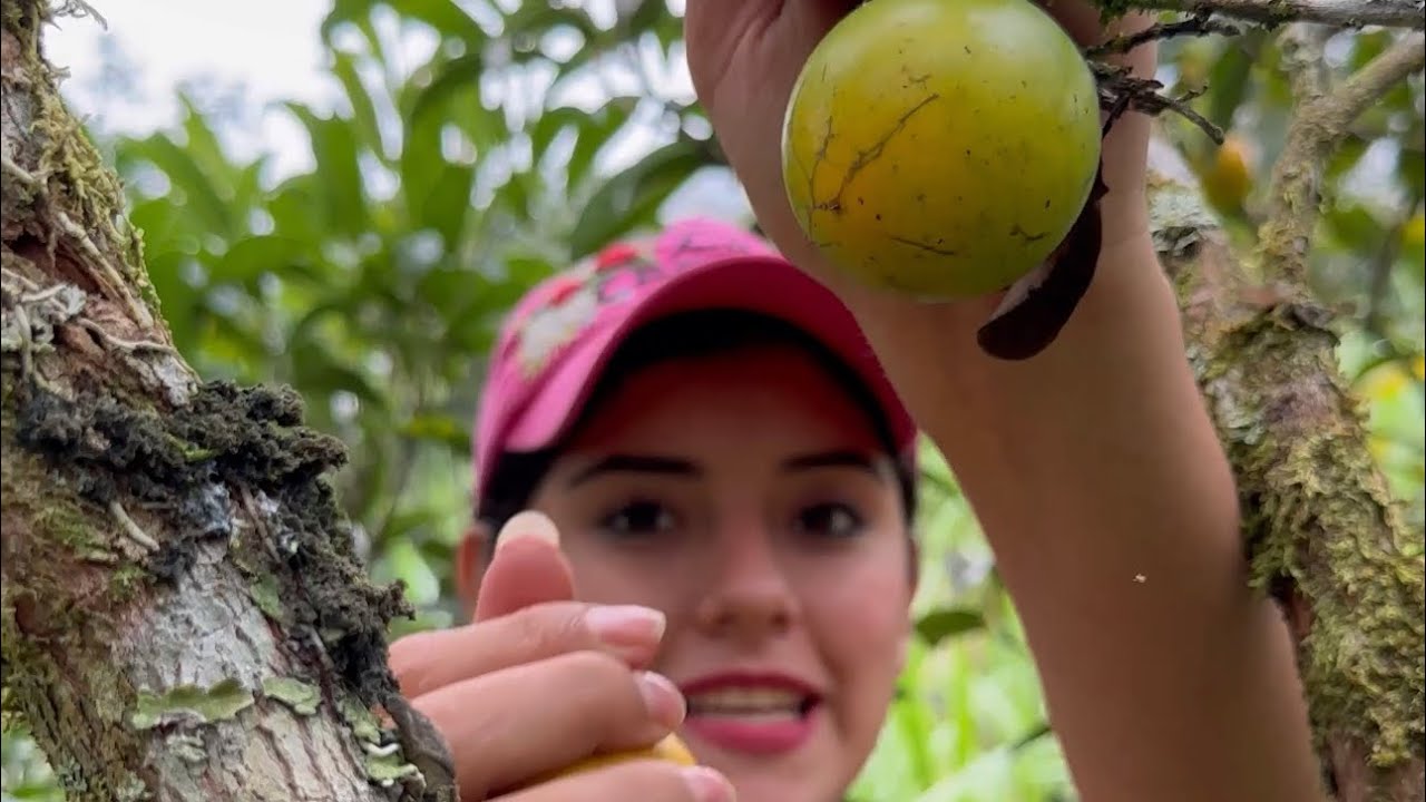 Deliciosa fruta en temporada en mi tierra ~ Saida ZC ~ 💚