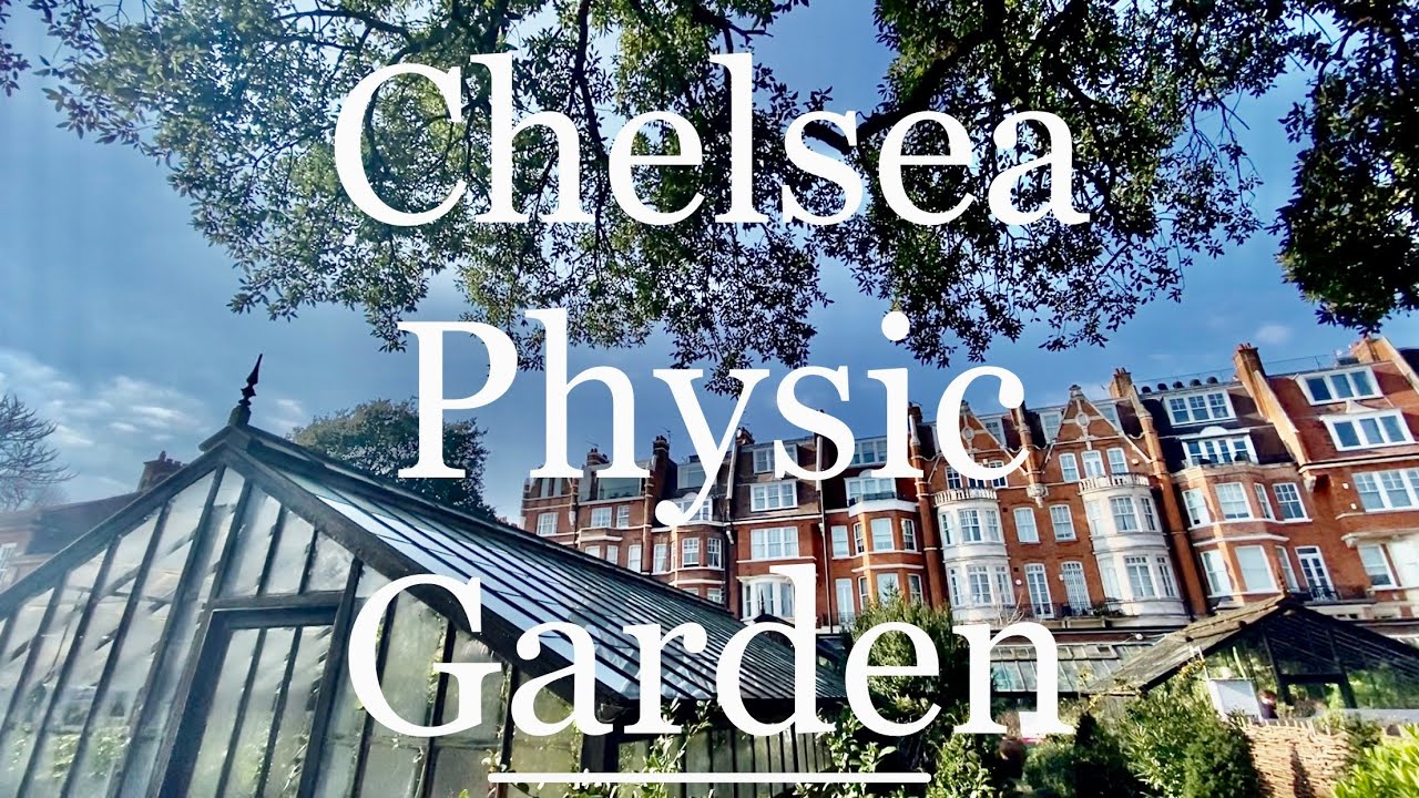 🇬🇧 Chelsea Physic Garden | 17th century botanicals 🧪
