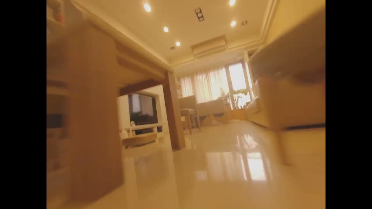 This Is Not Cinematic This Is FPV Disaster Documentary Flying Crazy Indoor Analog Drone Geprc Cinelo