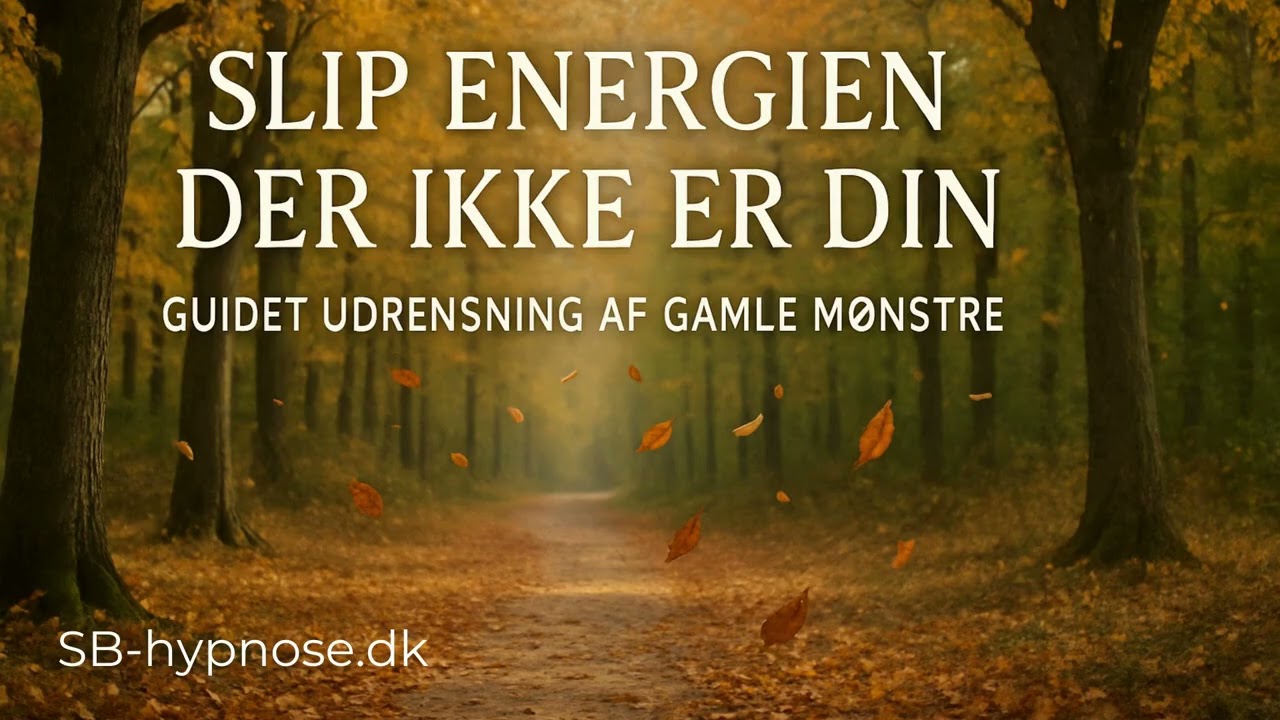 Slip energien der ikke er din - Guidet udrensning af gamle mønstre
