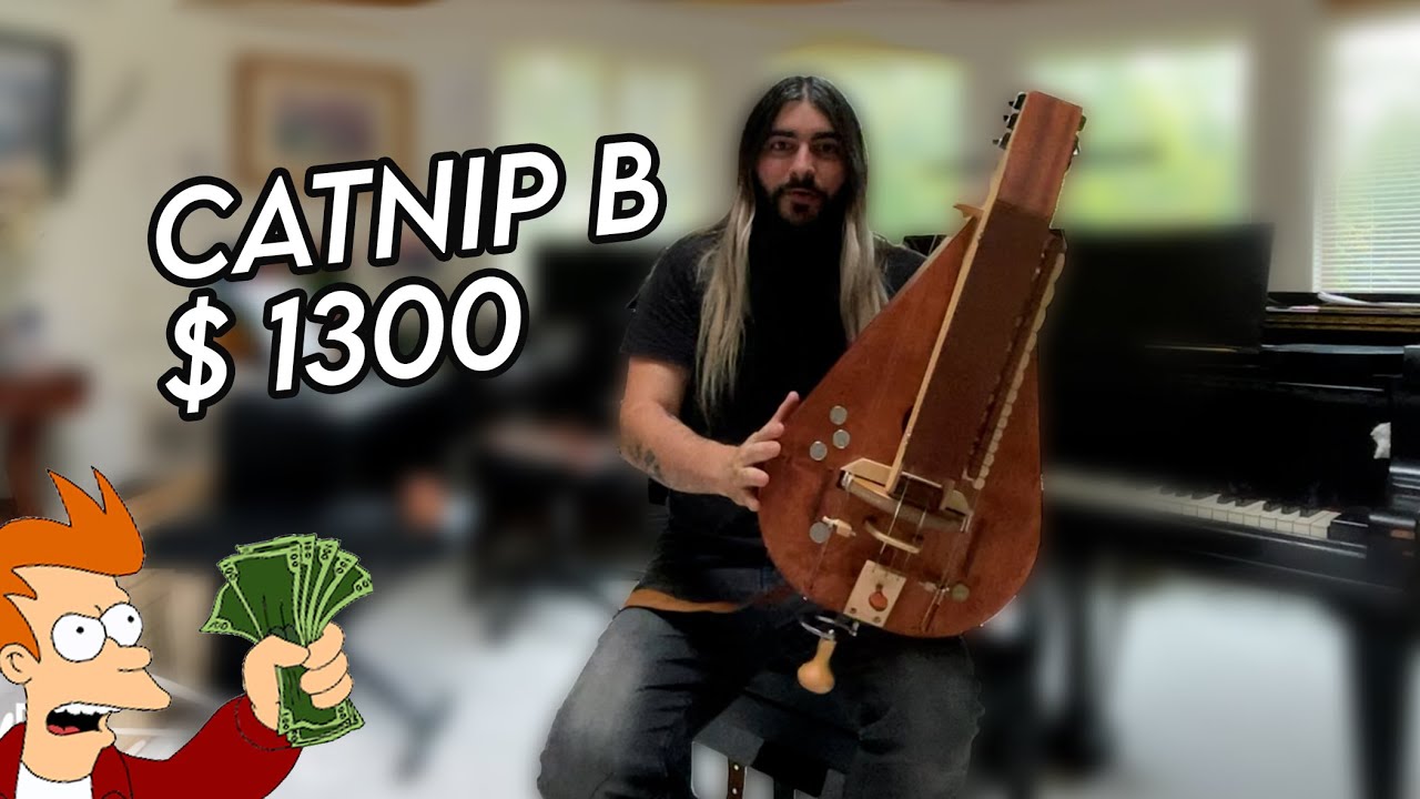Hurdy Gurdy Reviews | Catnip B by Radoslav Malisz