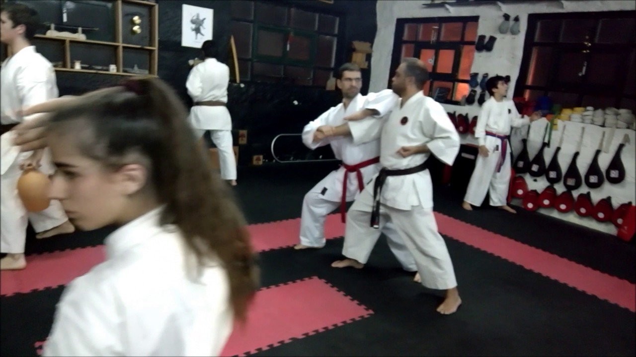 Mannequin Challenge Budo Dojo