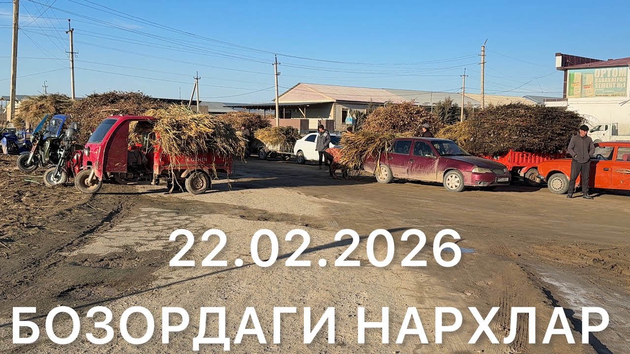 ЭЛЛИККАЛА ТУМАНИ БУСТОН ШАХРИ УТИН НАРХЛАРИ #automobile 