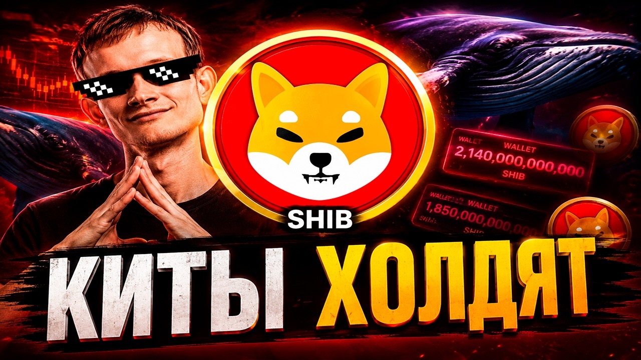 SHIBA INU СОБЫТИЯ 2022-2026 | ХОЛДЕРЫ ПРОДОЛЖАЮТ АККУМУЛИРОВАТЬ | ПАМП ГОТОВИТСЯ | ПРОГНОЗ SHIB 2026