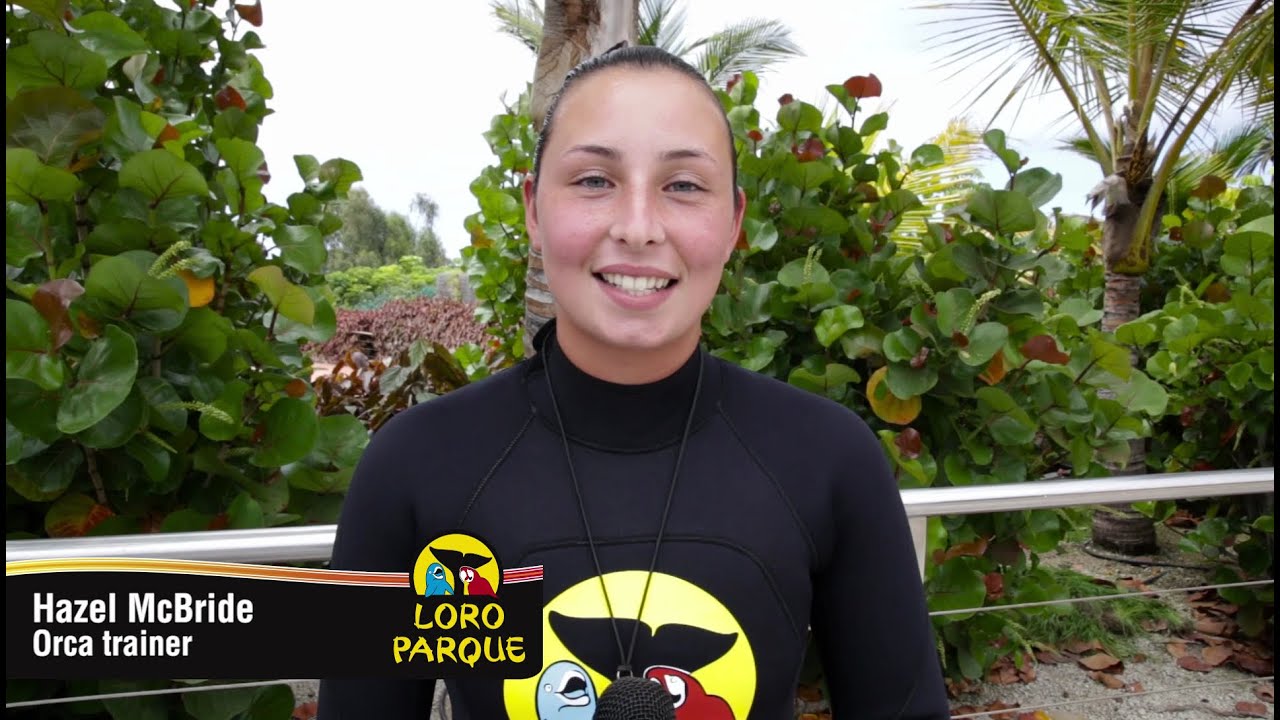 Orca Morgan - English