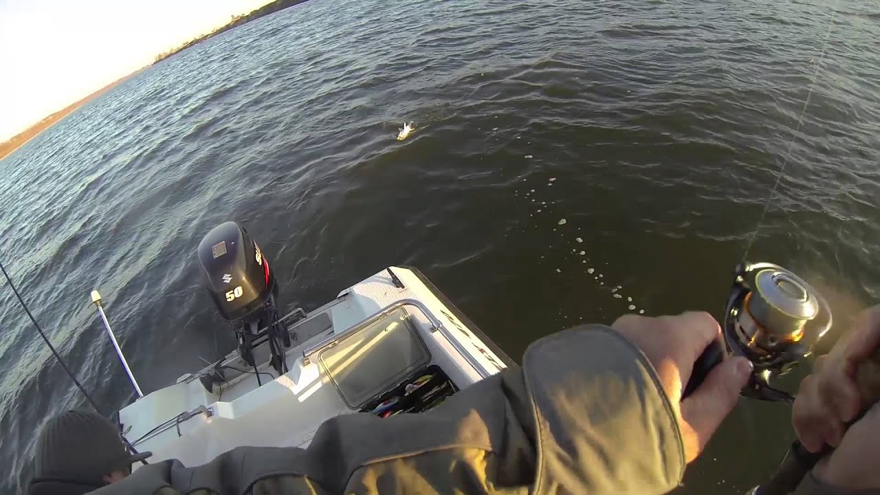 Salmo Freediver 12SDR - Russian Test