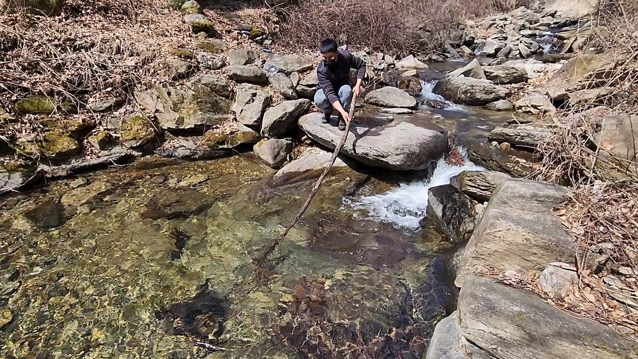 붕어 향어가 좋아하는 미끼를 통발어항에 넣었더니 벌어지는 일 fishbowl fish trap