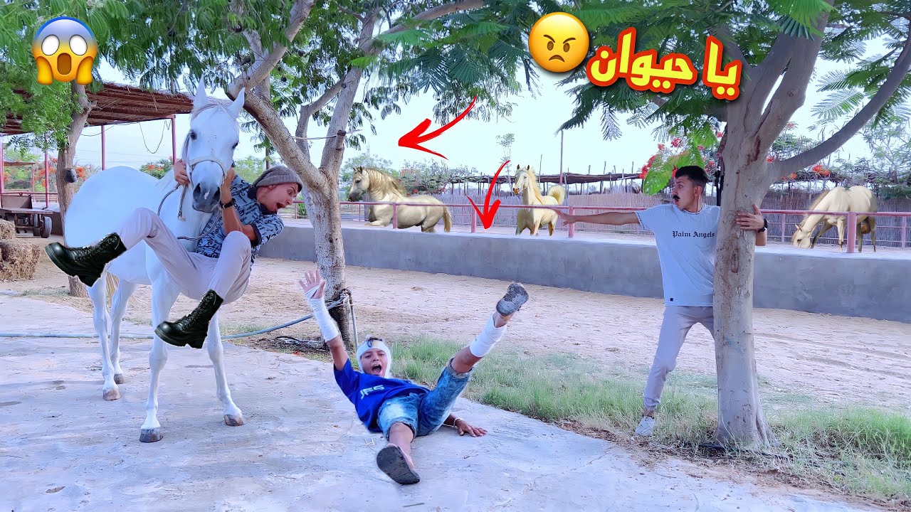لما اخوك الصغير يشتغل مدرب خيل 🐎😂 | محمد عماد