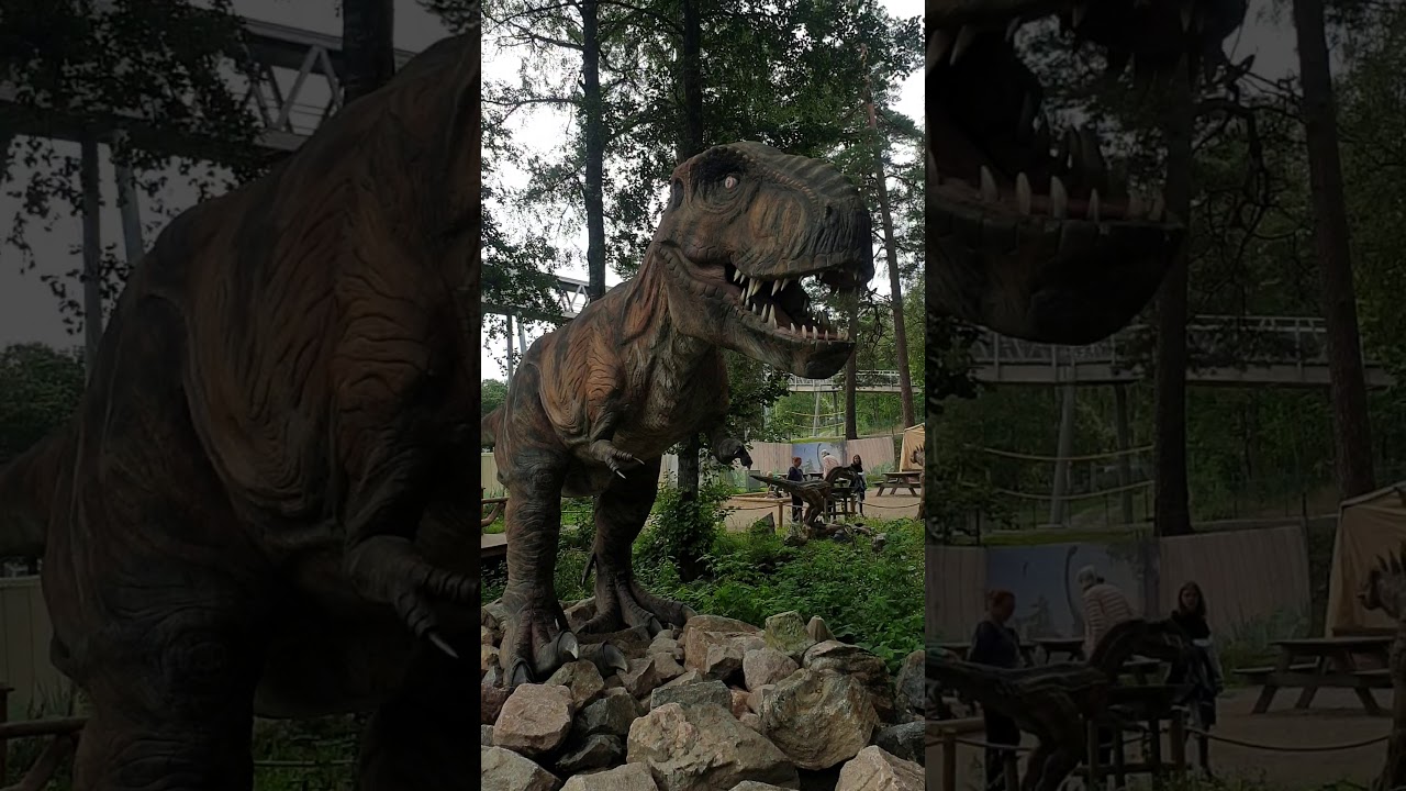 Dino Park