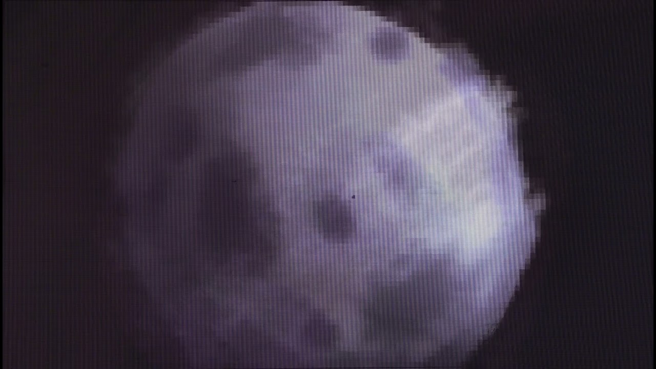 Resting under the moon