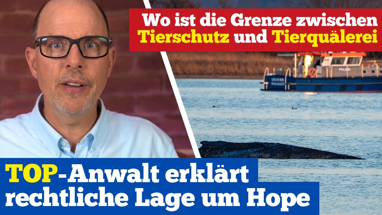 Anwalt Prof. #Solmecke @wbs_legal erkl&auml;rt Lage um #Hope: Grenze zwischen Tierschutz & Tierqu&auml;lerei