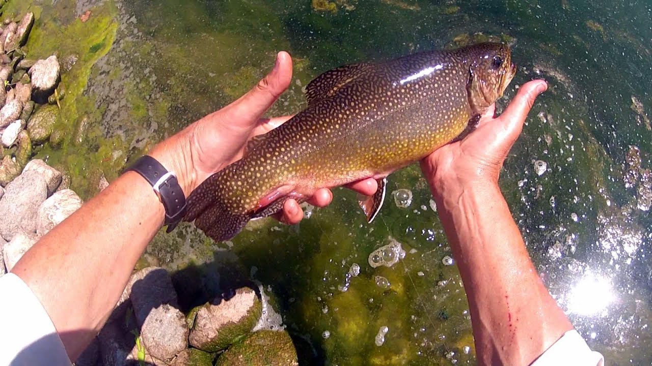Trote a spinning nella riserva di Cabanne - Val d'Aveto