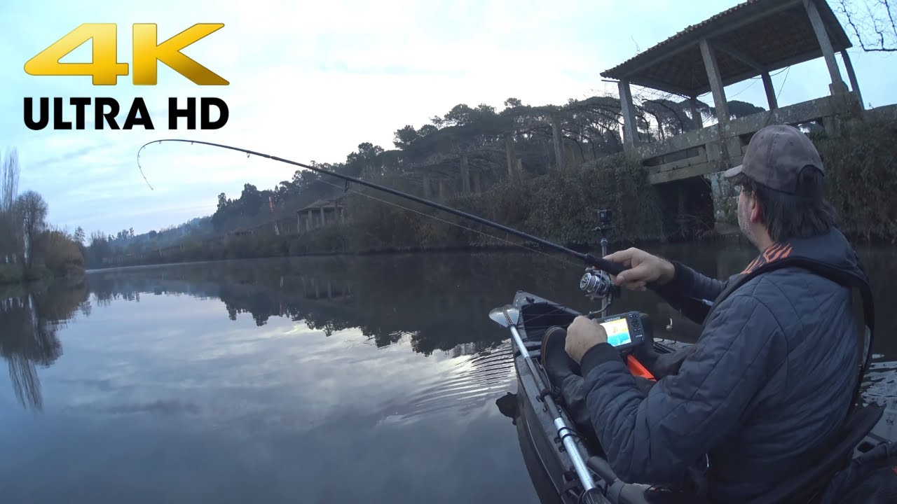 Pesca ás Chubs em Portugal com Savage Gear Nails (4K ULTRA HD)