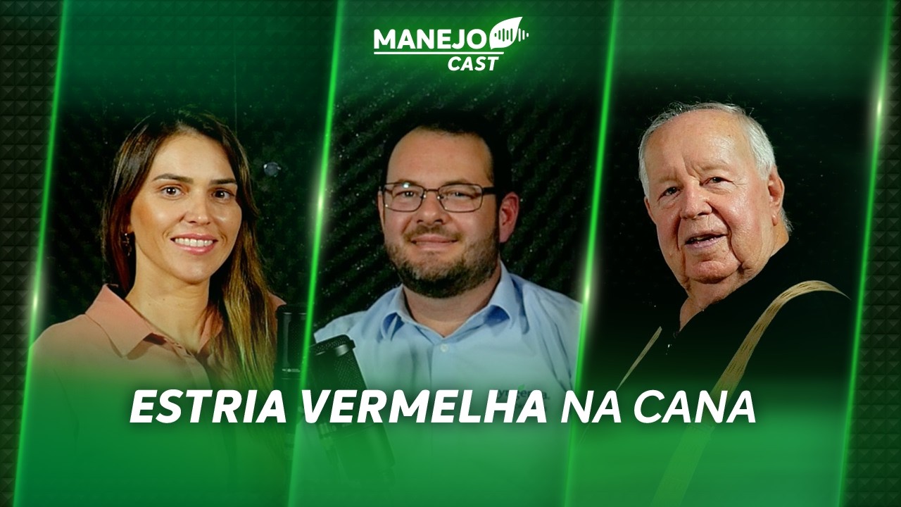 Estria vermelha na Cana