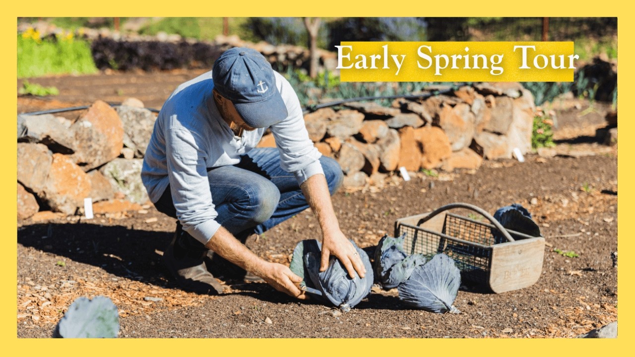Early Spring Tour | A look at the new growing season at Stepping Stone Farm