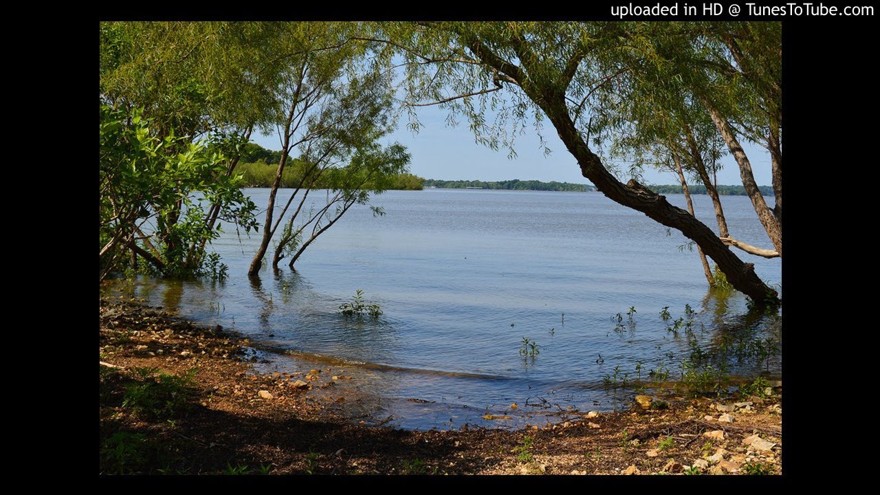 The Bean Trees - chapter 15