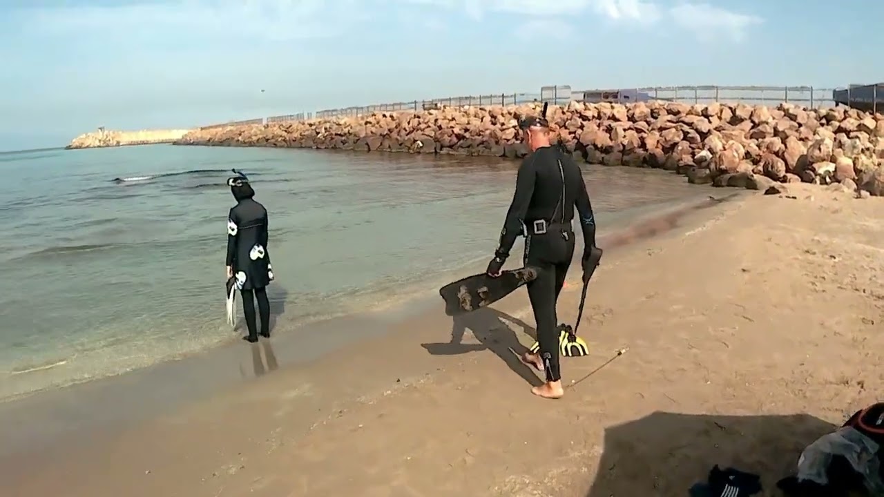 Salamandre  Mostaganem 2024/10 /01
