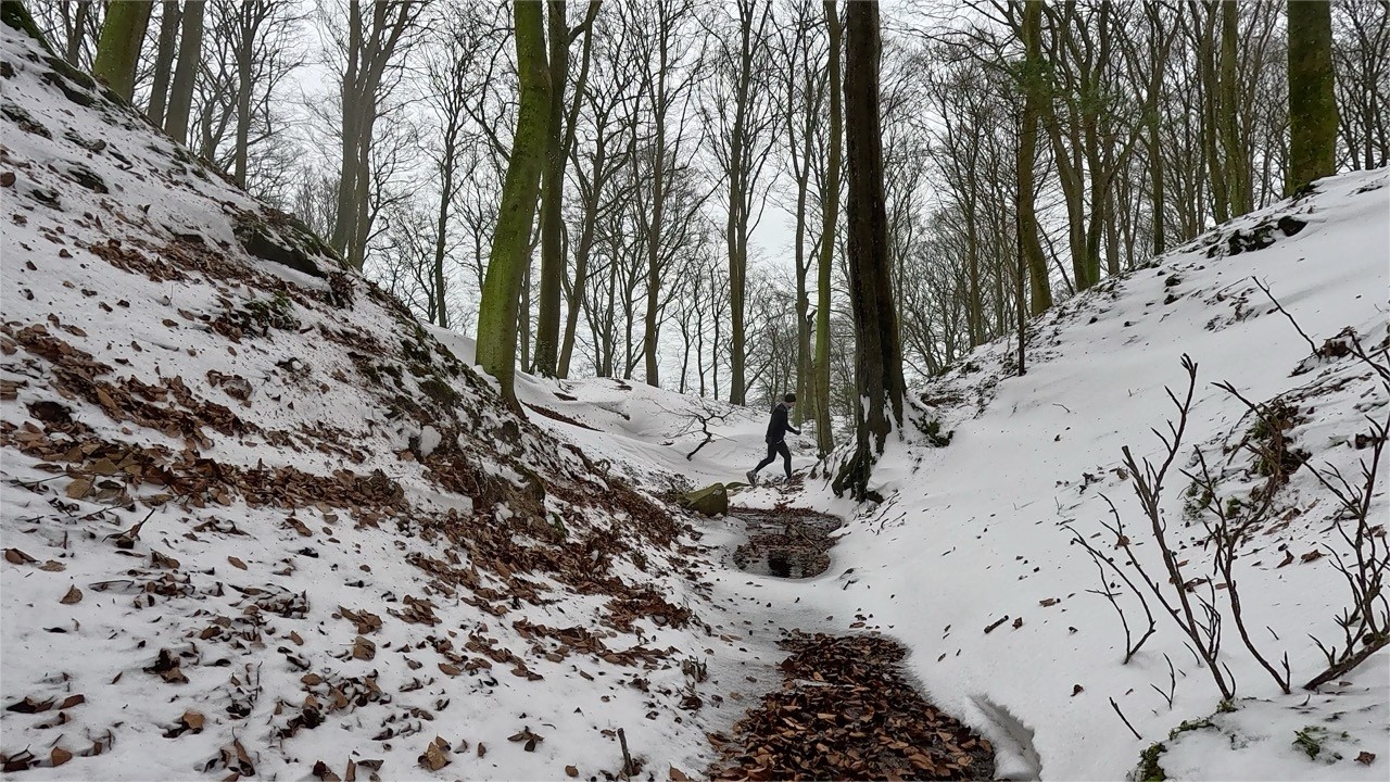 Halfdan Runs - Winter Endurance | Frozen Trails & Fresh Air | Moesgaard, Denmark