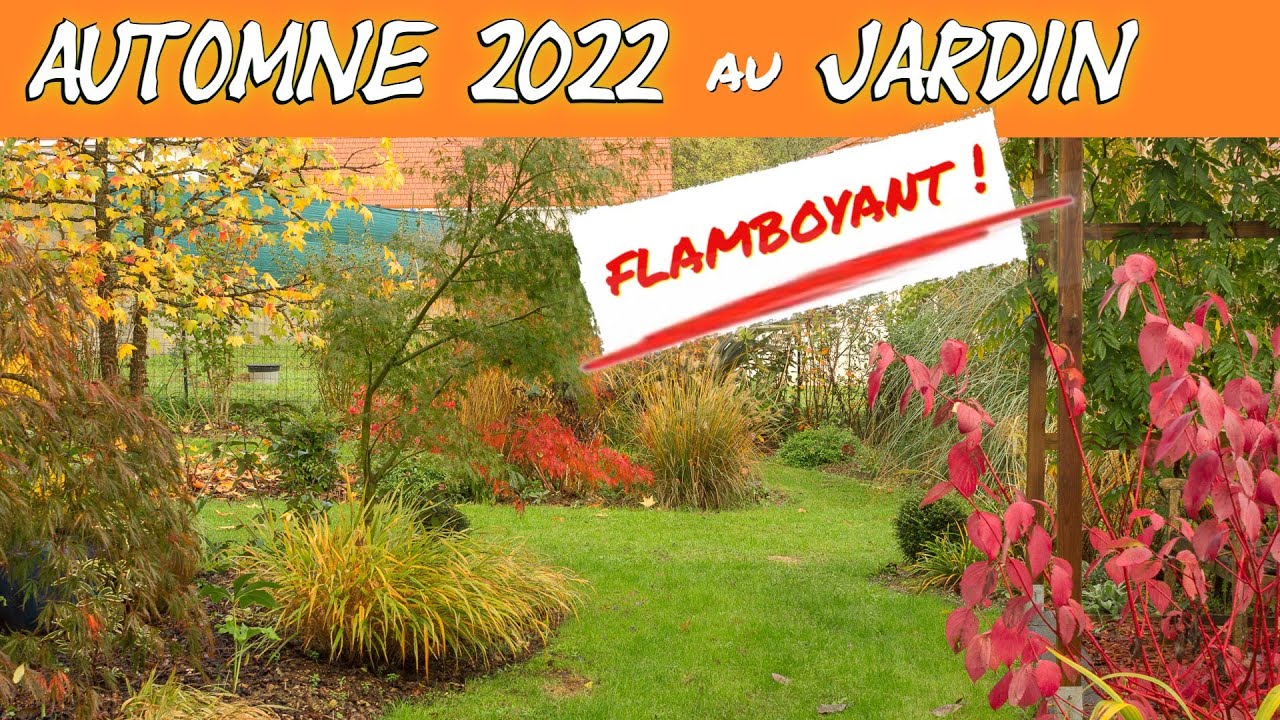 Magnifiques couleurs d'automne au jardin ! [2022]