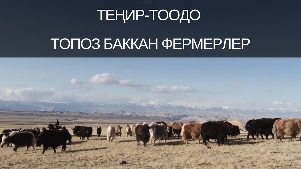 ТЕҢИР-ТООДО ТОПОЗ БАККАН ФЕРМЕРЛЕР