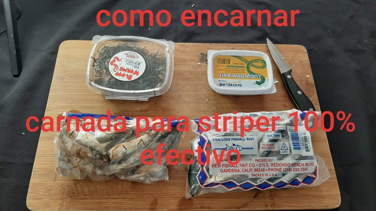 Las 4 mejores carnadas para pescar/ STRIPED BASS🐟 100% efectiva/ como encarnar❓Linia anzuelo y plomo
